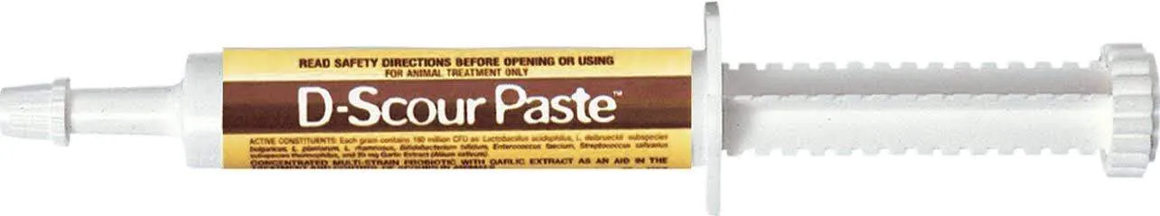 D-Scour Paste