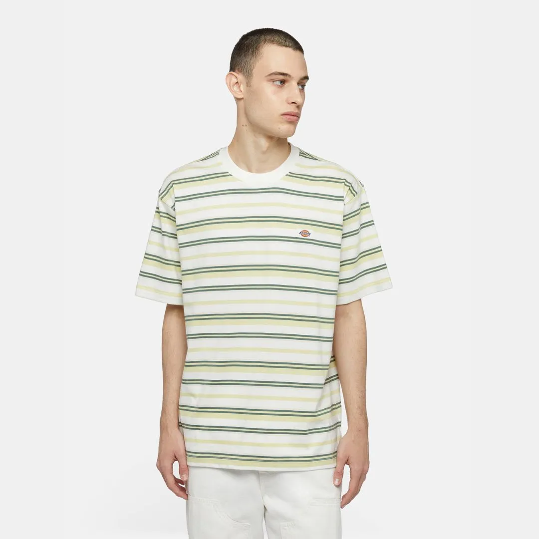 Dickies Glade Spring T-Shirt Stripe Cloud