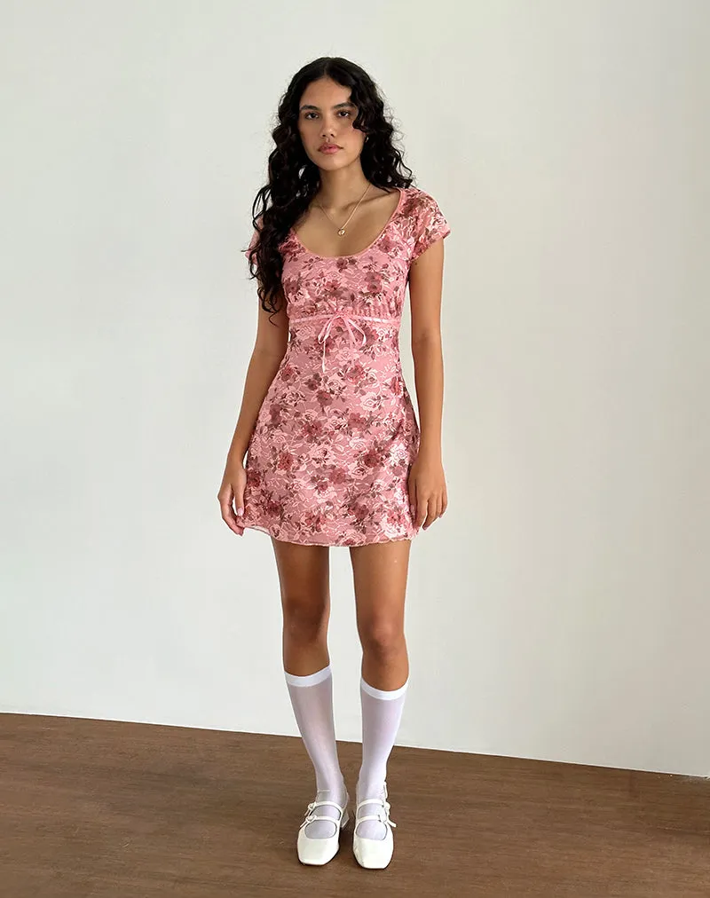 Prinsa Dress in Pink Lace Floral Bloom