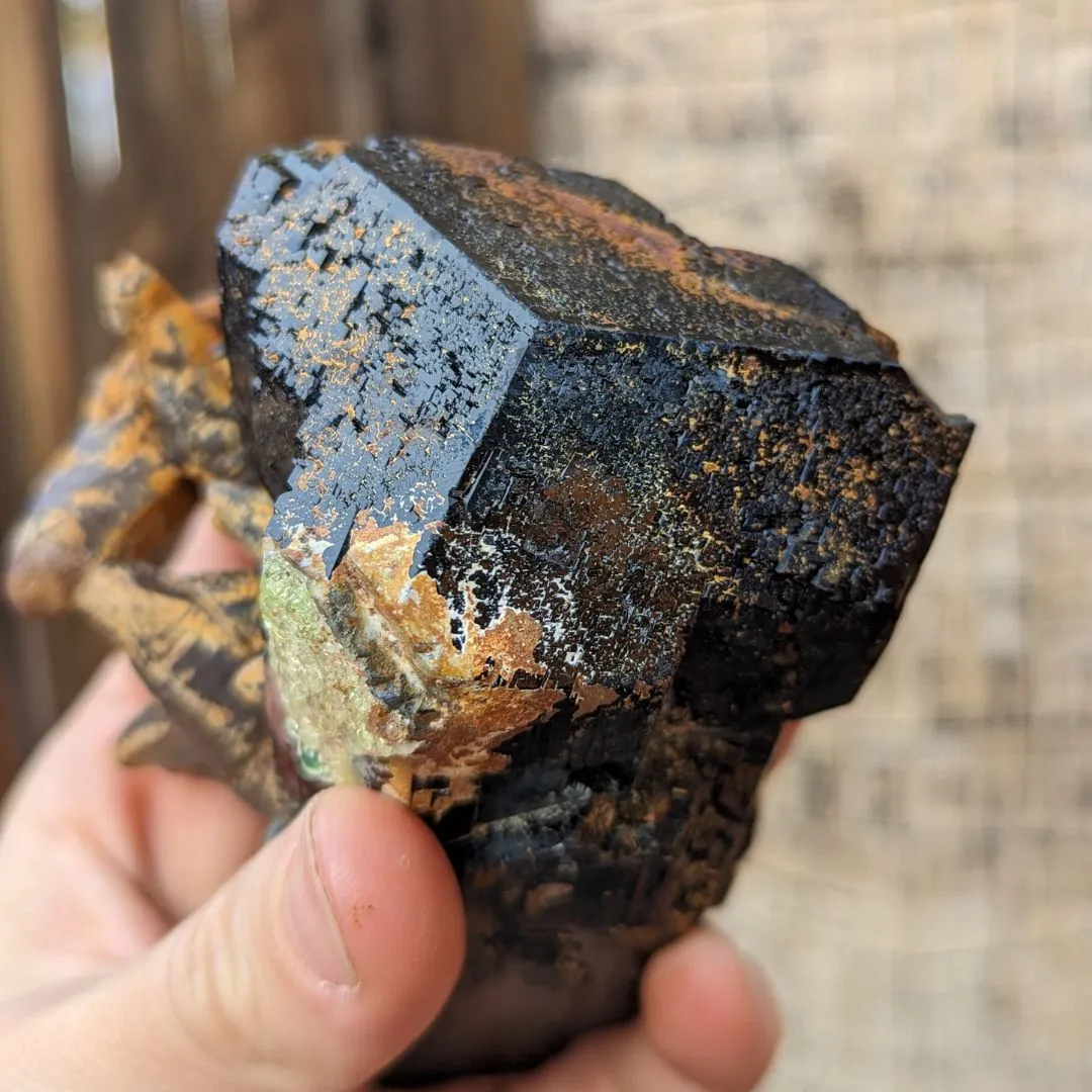 TERMINATED LUSTROUS BLACK TOURMALINE CRYSTAL WITH HYALITE OPAL, FERRUGINOUS QUARTZ, FROM ERONGO MOUNTAIN, ERONGO REGION, NAMIBIA